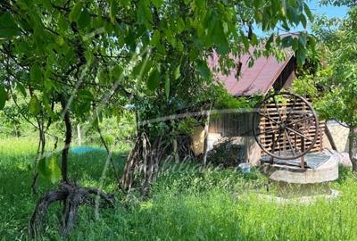 Teren intravilan 1740 mp. cu casa intabulata in PH-PROVITA DE SUS - 14