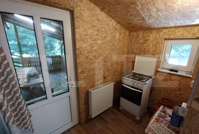 Cabana 4 camere Lunca Bradului - 13