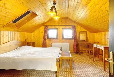 Complex de 3 case pe 18000 mp teren - 26