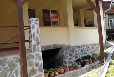 Casa de vanzare, comuna Livezile, jud Alba Casa de vanzare, comuna Livezile, jud Alba - 5