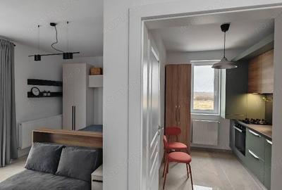 Garsonieră decomandată în Calea Urseni - 8