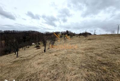 Teren de 34000 mp, în Borod - 2