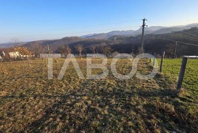 Teren 1974 mp intravilan de vanzare in Loman judetul Alba - 3