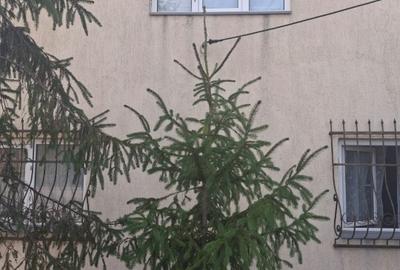 Vand CASA Poarta Alba ,Constanta - 3