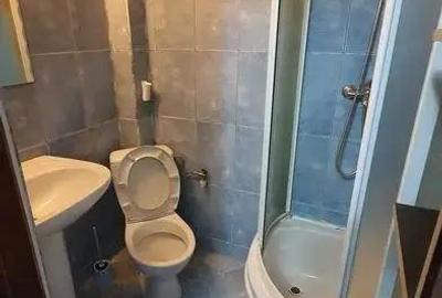 Garsonieră în Buziașului - 3