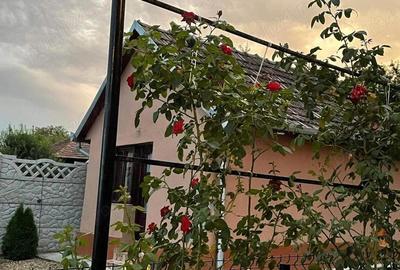 Casă cu 2 camere cu Teren 1439 Mp în Cadea - 7