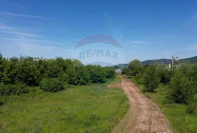 Teren de 11533 mp, în Merișor - 2