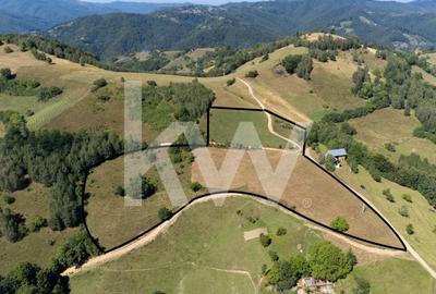 Teren 16469 mp extravilan arabil  Poiana Marului zona Vulcanita - 1