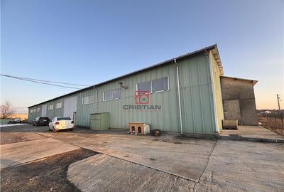 Spațiu comercial, de 1,630 mp, în Chiajna - 19