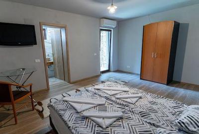 Spațiu comercial, de 500 mp, în Divici - 18