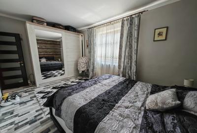 Casa cu pod inalt Lazu - 10