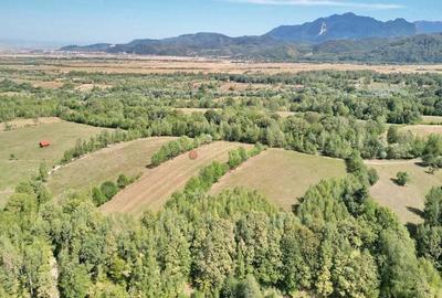 Teren intravilan, priveliste deosebita - 6