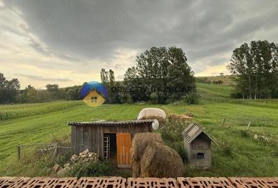 Casa de vanzare - GHINDAOANI