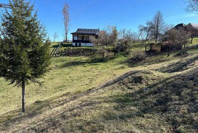 Teren intravilan 2500 mp Fundata la 15 km de zona Bran-Moeciu - 3