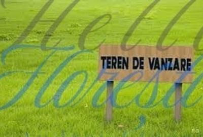 OPORTUNITATE DE INVESTITIE! Teren Intravilan 11.600 mp, Zona Sopor - 1