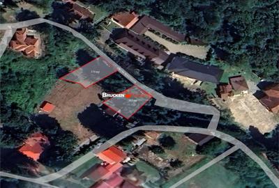 Teren de 370 mp, în Pădurea Neagră - 4