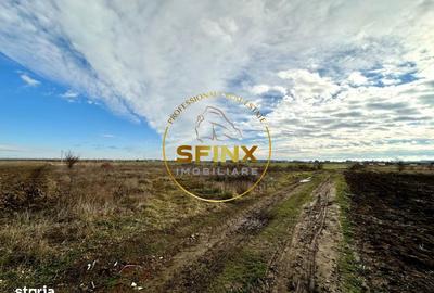 Teren de 1750 mp, în Tărtășești - 3