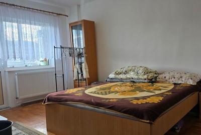 Apartament 2 camere in Deva, zona ultracentrala- Decebal - 1