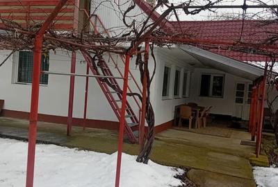 Casă cu 4 camere cu Teren 5000 Mp în Girov - 10