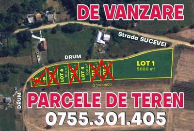 Spațiu comercial, în Siret