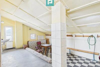 Proprietate multifunctionala central Arad - 20