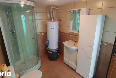 Casă cu 4 camere cu Teren 108 Mp în Topleț - 6