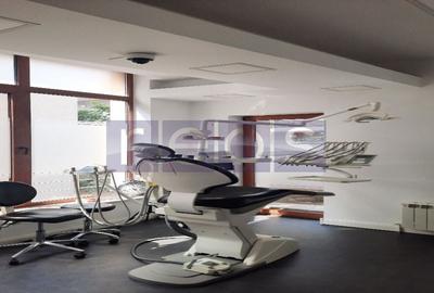 VANZARE VILA S+P+4E | ZONA AVIATORILOR | OPORTUNITATE - 38