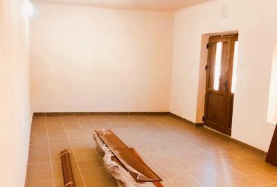 Spațiu comercial, de 40 mp, în Topolog - 2