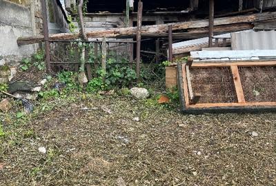 Teren Construcții intravilan de 202 mp, în Nord-Vest - 5