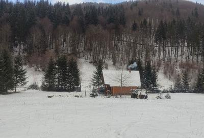 Teren de 9172 mp, în Pintic - 5