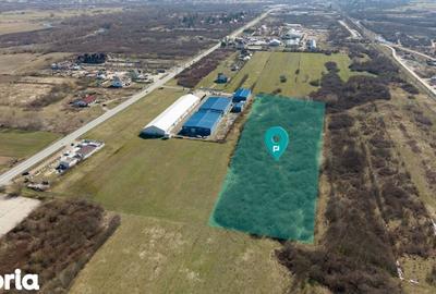 Teren de 7194 mp, în Carașova - 16