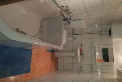 Casă cu 4 camere cu Teren 3400 Mp în Susag - 2