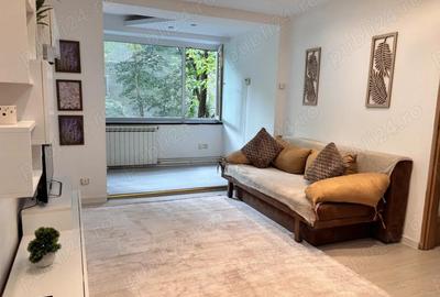 Apartament 2 camere Ion Mihalache - 2