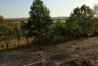 Casă cu 4 camere în Central - 5