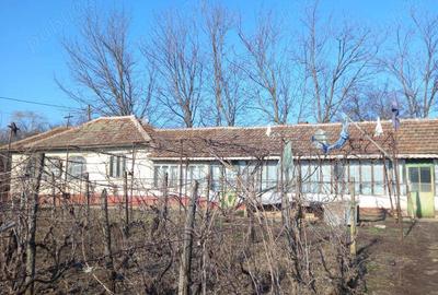 Casă cu 6 camere în Căldărușeanca - 7