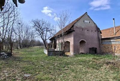 Casă cu 4 camere cu Teren 3000 Mp în Recea - 4