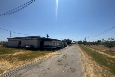 Teren Construcții intravilan de 90000 mp, în Bărăteaz - 6