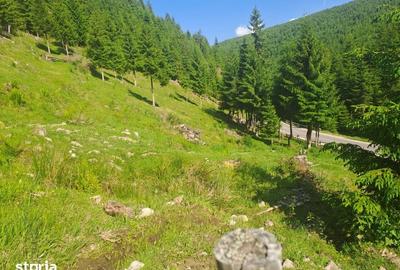 Teren de 1000 mp, în Măguri - 3