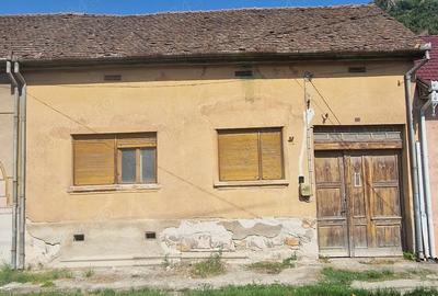Casă cu 3 camere în Mehadia - 3