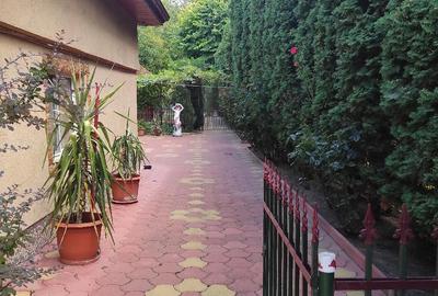 Casă cu Teren 200 Mp în Gojdu - 3