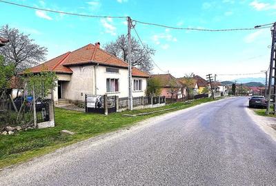 Casă cu 3 camere cu Teren 2500 Mp în Burdea - 14