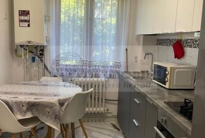 Apartament 2 camere - Tătărași, Chiurchi - 420 EURO - 3