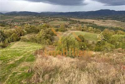 Teren de 9341 mp, în Bălnaca - 10