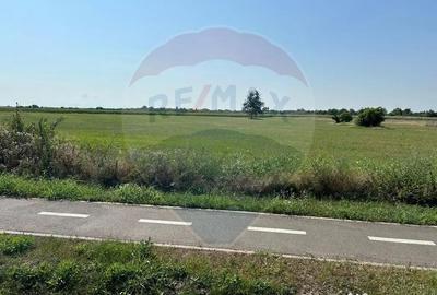Teren de 20561 mp, în Salonta - 9