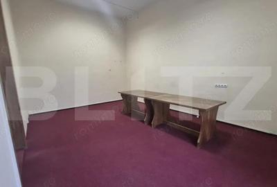 Birou de inchriat, 255 mp, zona Ultracentrala - 3