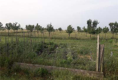 Teren de 11400 mp, în Nord - 1