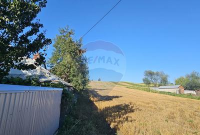 Teren intravilan, 7500 mp in Moara Carp / Strada Eternita... - 10