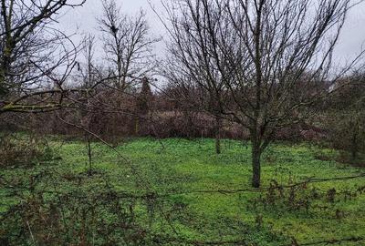 Casă cu Teren 2914 Mp în Bărcănești - 1