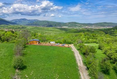 Teren Construcții intravilan de 500 mp, în Tohănița - 11