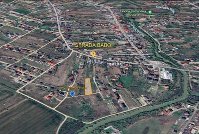 De vanzare 2 Loturi Teren 500+ metri patrati Domnesti - 4